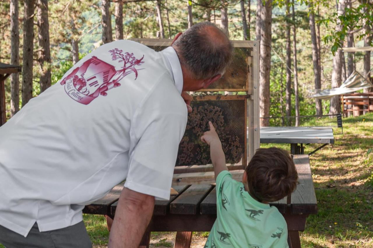 Agriturismo Le Dolci Colline Valfabbrica المظهر الخارجي الصورة